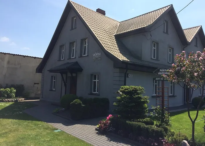 Bluszcz