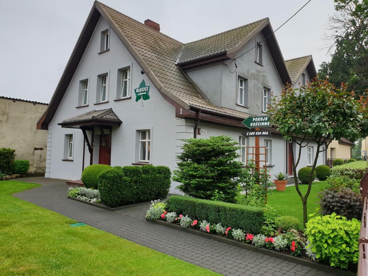 Privat overnatting Bluszcz